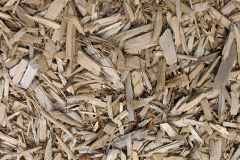 biomass boilers Curgurrell
